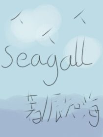 Seagull……