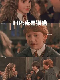 HP：我是猫猫-d241