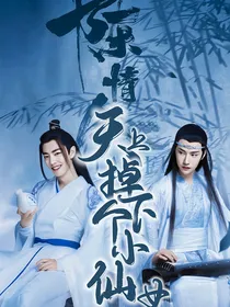 陈情令之天上掉下个小仙女