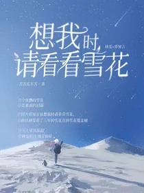 想我时请看看雪花