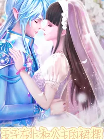 王子在上和公主的裙摆
