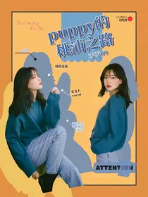 韩娱：puppy的桃浦之路
