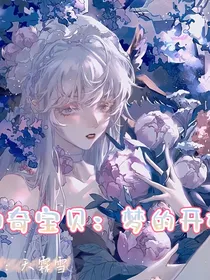精灵宝可梦：梦的开始