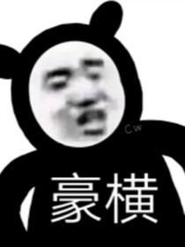 攻略不易，三代叹气