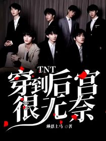 TNT：穿到后宫很无奈