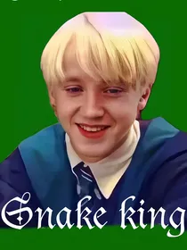 HP：Snakeking
