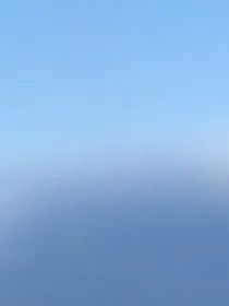 天才少女的慢慢追夫路，