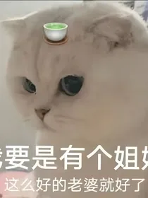 大学生日记