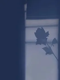 BTS：雾中花