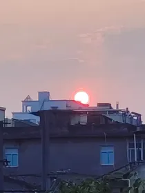 清纯蜜语