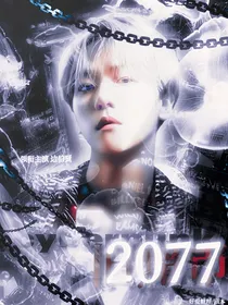 韩娱：2077旧黯市