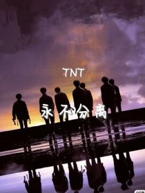 TNT：永不分离