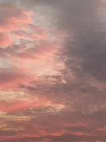 木媛