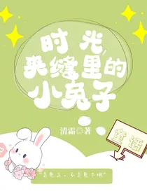 时光夹缝里的小兔子