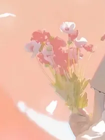 满天星，赠予你