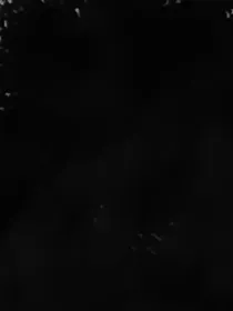 我明天会是谁