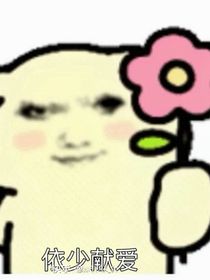 芷柯