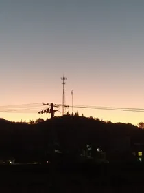 花与鸟的恋情