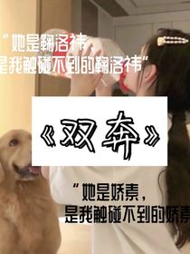 双奔