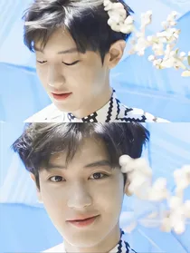 EXO：重生后她是唯一的姐