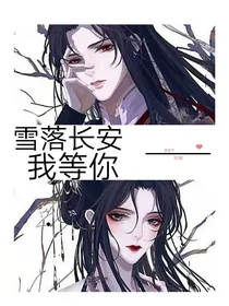 雪落长安我等你