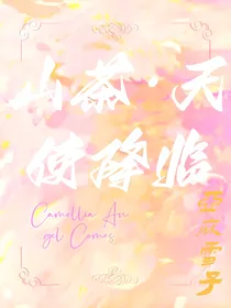山茶，天使降临