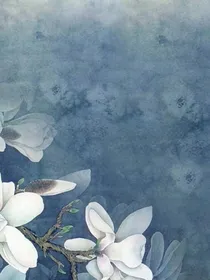 发现暗恋的白月光也暗恋我怎么办！