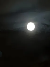 愿梦中有你（已弃）