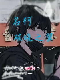 名柯：破晓之翼