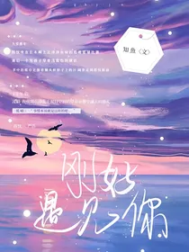 刚好遇见你—