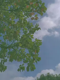 风漫青山