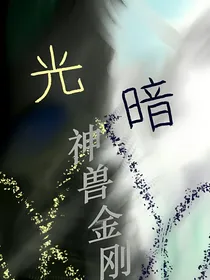 神兽：光暗奏鸣曲
