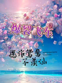 爆裂飞车：愿作鸳鸯不羡仙