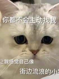 野王闺蜜是弟弟