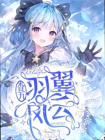 羽翼风云（查九）