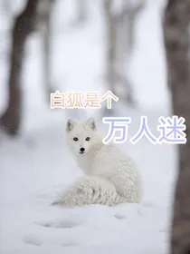 白狐是个万人迷