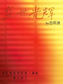 盛世光辉