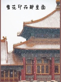 雪花印在那里面