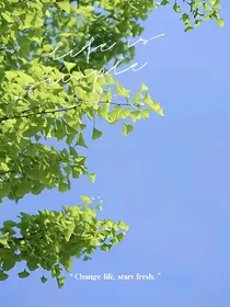 L素材库