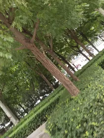 我怎么不喜欢你