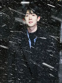 王不染：路过你的雪天