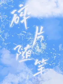 碎片中随笔