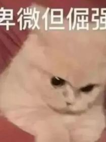 OvO文案合集