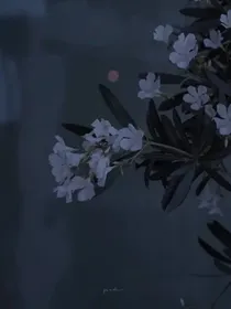 穿进小说时间线以前