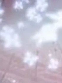 小花仙：夜来香的幻想