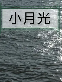 HP小月光