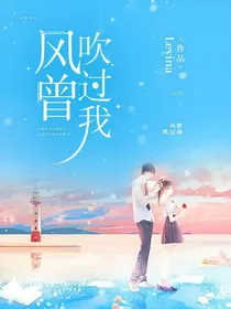 风曾吹过我