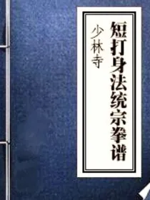 少林寺短打身法统宗谱