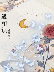 遇相识