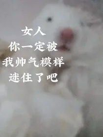 霸道鼠鼠爱上我